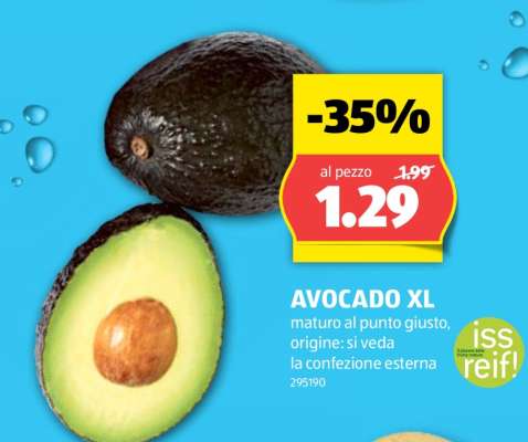AVOCADO XL