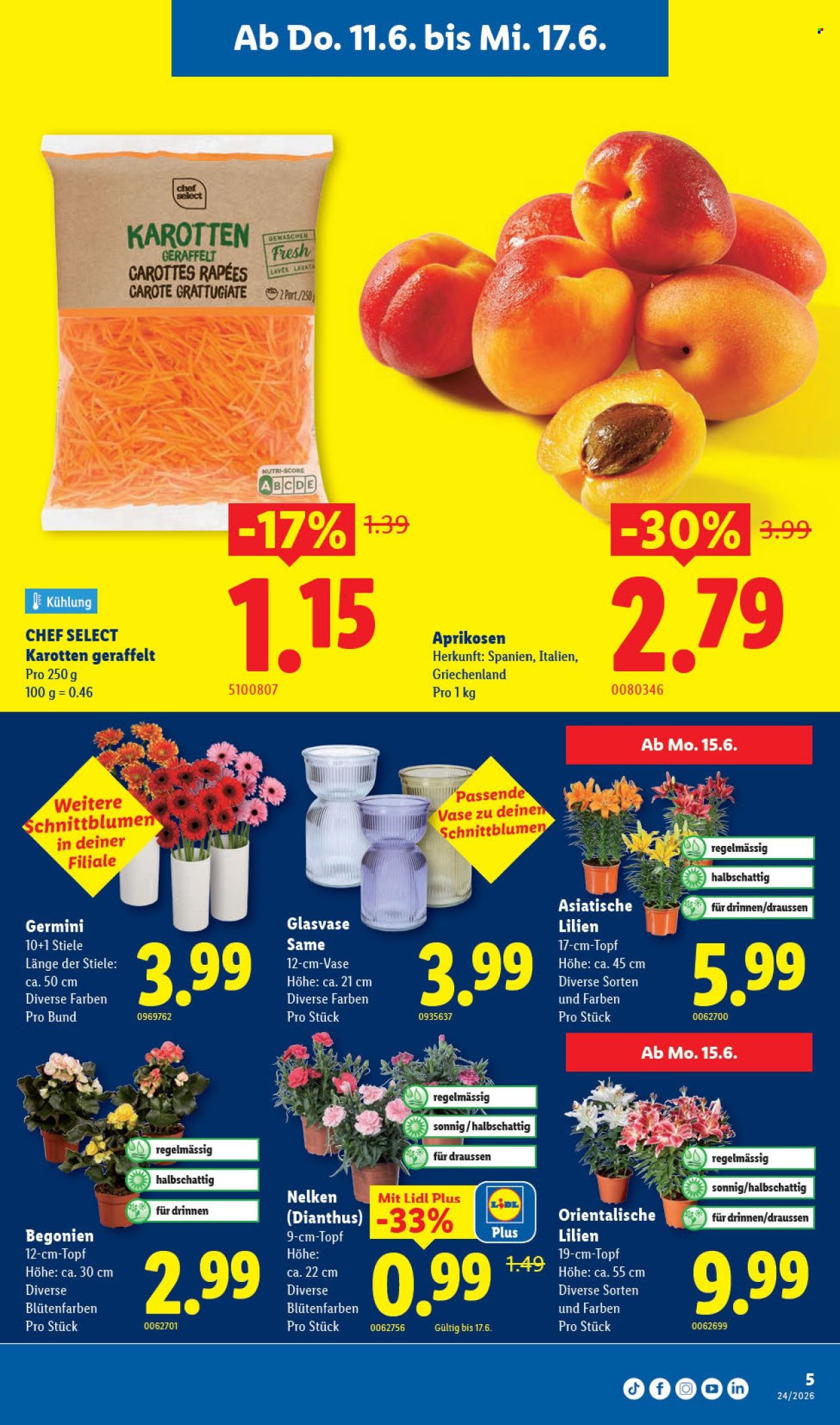 Volantino Lidl - 11.6.2026 - 17.6.2026. Pagina 5. Pagina 5