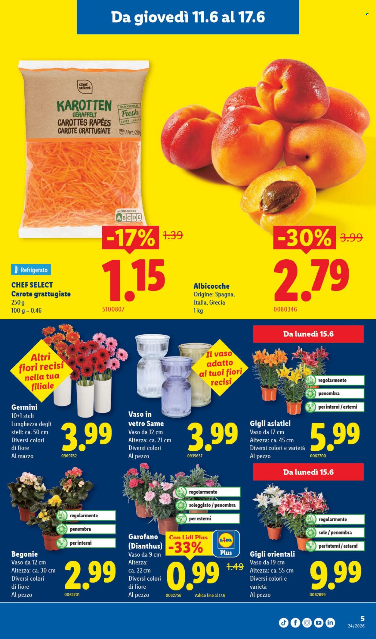 Volantino Lidl - 11.6.2026 - 17.6.2026. Pagina 5. Pagina 5
