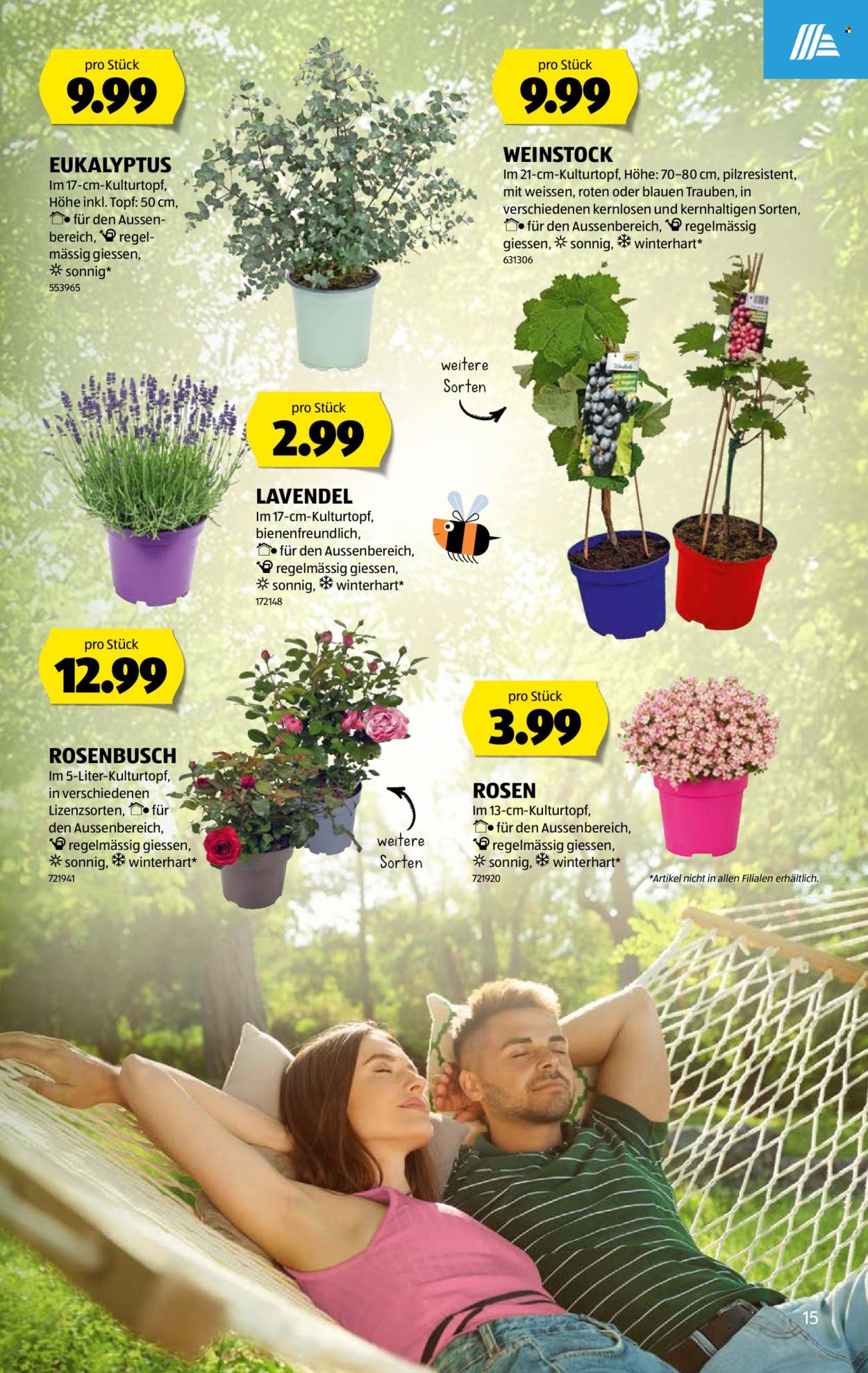 Volantino Aldi - 18.6.2026 - 24.6.2026. Pagina 15. Pagina 15