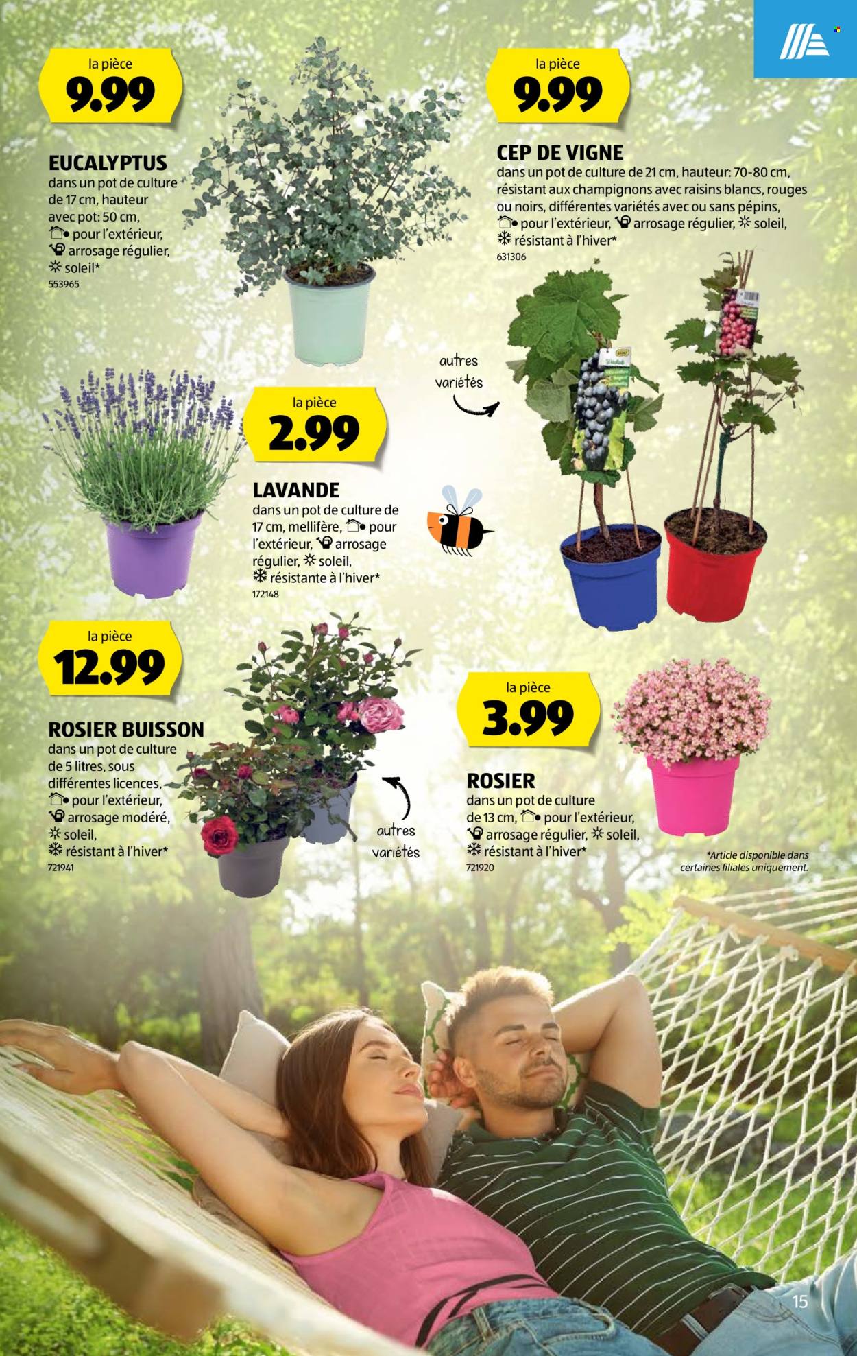 Volantino Aldi - 18.6.2026 - 24.6.2026. Pagina 15. Pagina 15