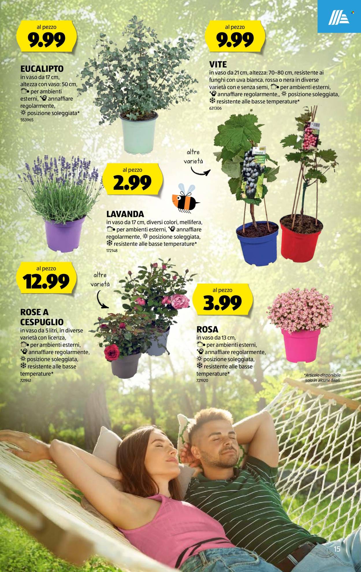 Volantino Aldi - 18.6.2026 - 24.6.2026. Pagina 15. Pagina 15