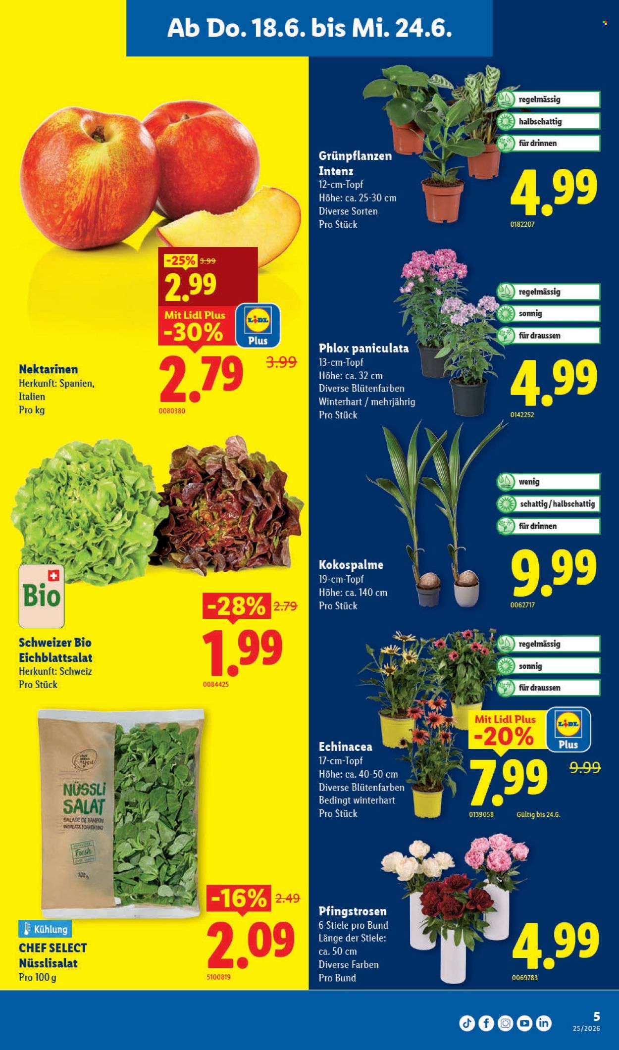 Volantino Lidl - 18.6.2026 - 24.6.2026. Pagina 5. Pagina 5