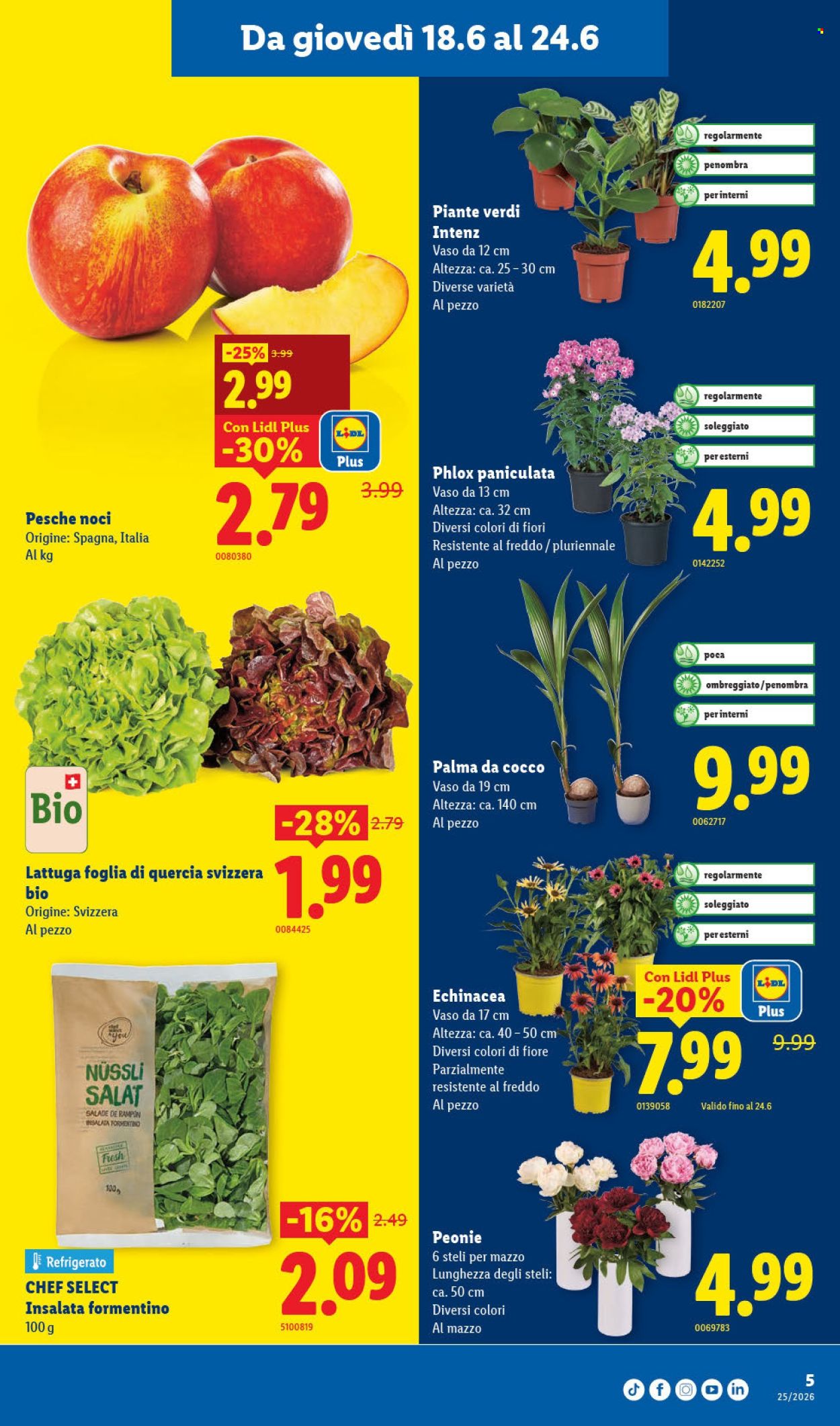 Volantino Lidl - 18.6.2026 - 24.6.2026. Pagina 5. Pagina 5