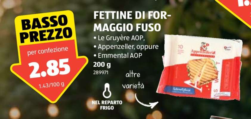FETTINE DI FORMAGGIO FUSO