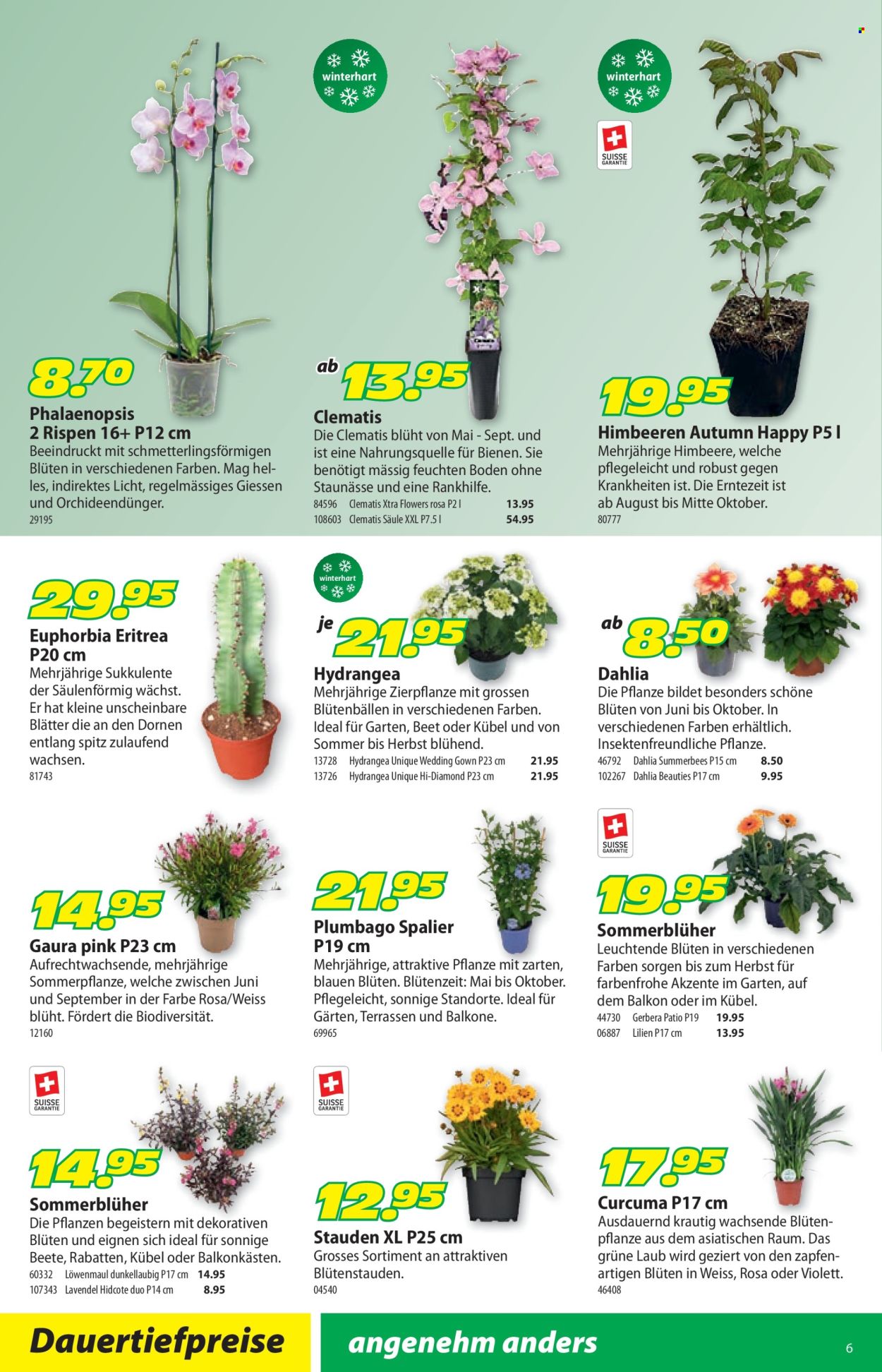 Volantino Landi - 22.6.2026 - 5.7.2026. Pagina 10. Pagina 10