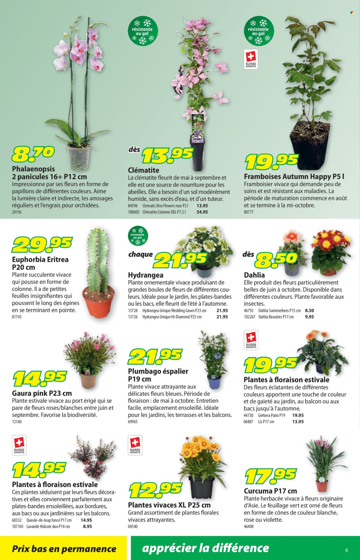 Volantino Landi - 22.6.2026 - 5.7.2026. Pagina 10. Pagina 10
