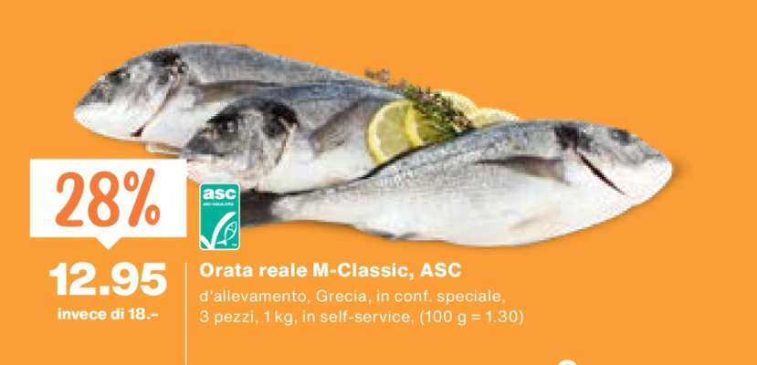 Orata reale M-Classic, ASC