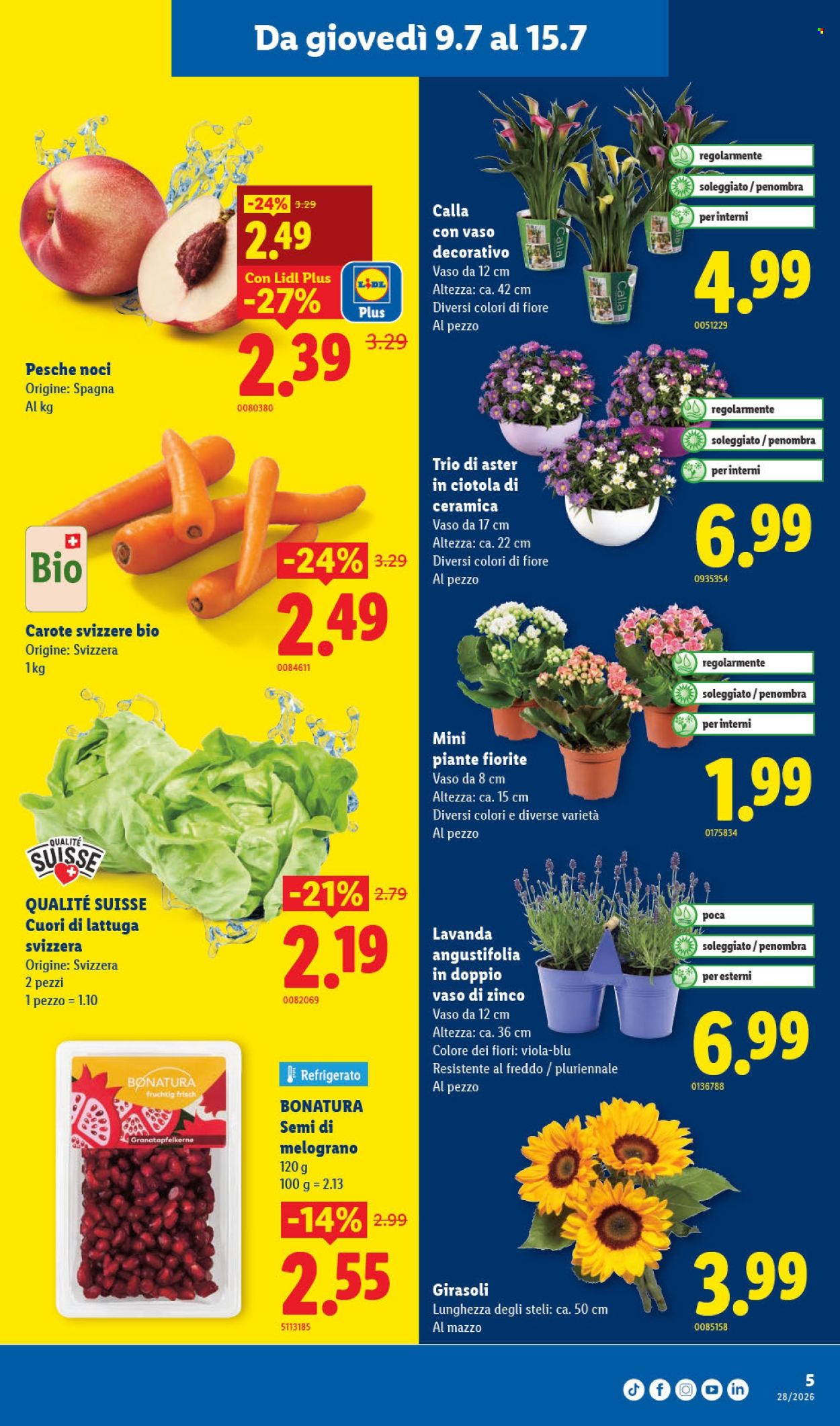Volantino Lidl - 9.7.2026 - 15.7.2026. Pagina 5. Pagina 5