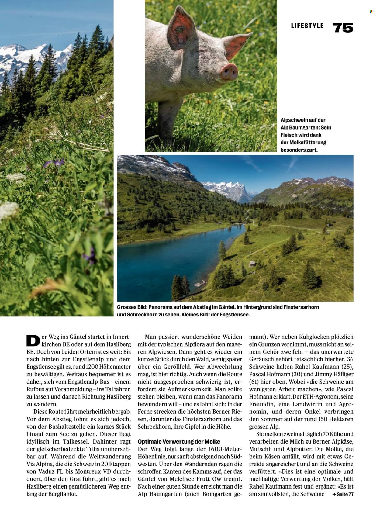 Volantino Coop - 9.7.2026 - 15.7.2026. Pagina 75. Pagina 75