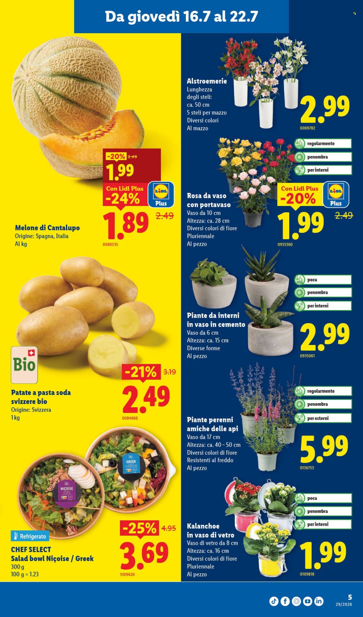 Volantino Lidl - 16.7.2026 - 22.7.2026. Pagina 5. Pagina 5