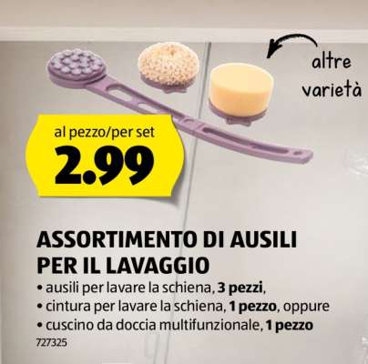 ASSORTIMENTO DI AUSILI PER IL LAVAGGIO