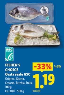 Orata reale ASC
