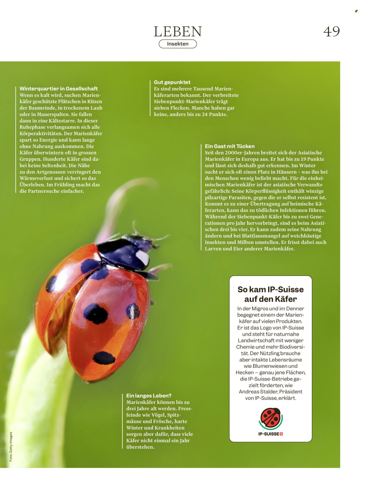 Volantino Migros - 29.7.2026 - 5.8.2026. Pagina 49. Pagina 49