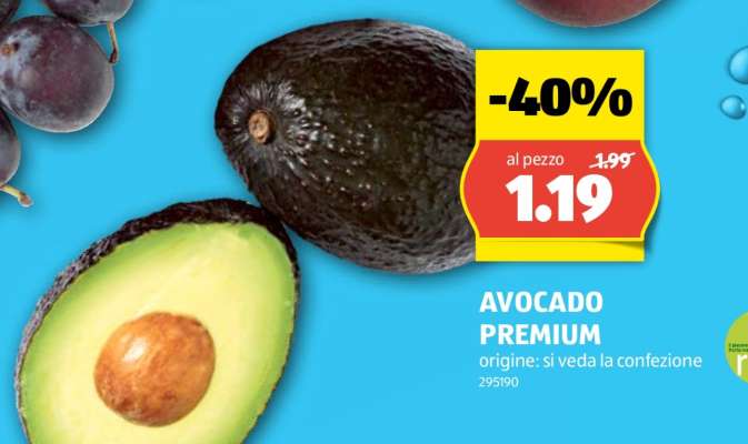 AVOCADO PREMIUM