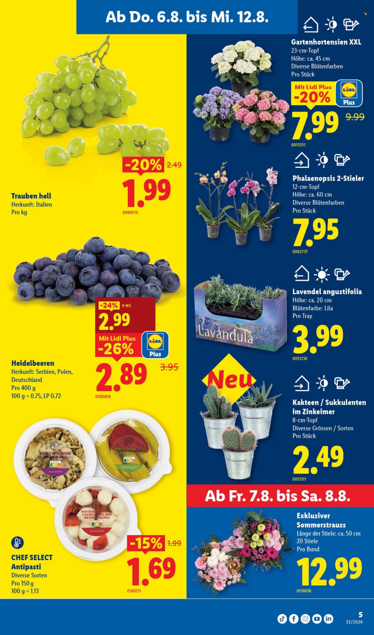 Volantino Lidl - 6.8.2026 - 12.8.2026. Pagina 5. Pagina 5