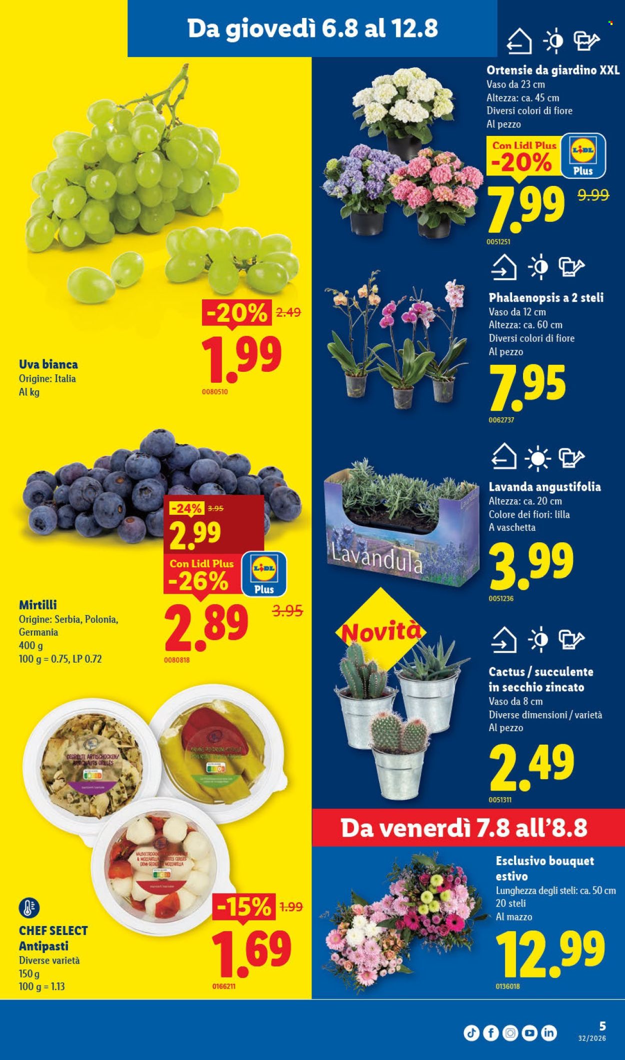 Volantino Lidl - 6.8.2026 - 12.8.2026. Pagina 5. Pagina 5