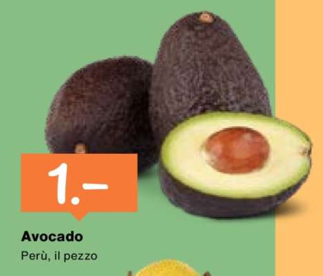 Avocado