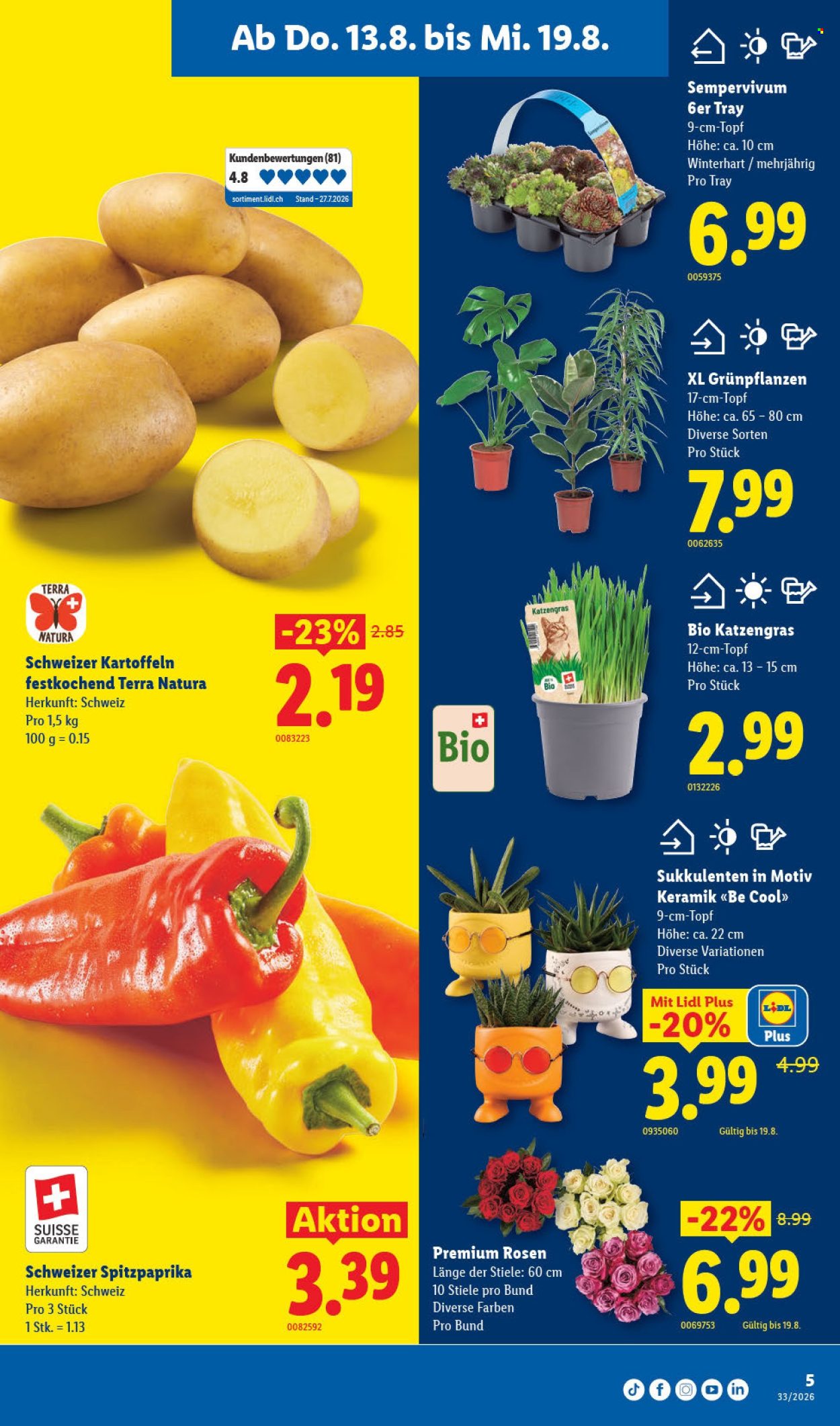 Volantino Lidl - 13.8.2026 - 19.8.2026. Pagina 9. Pagina 9