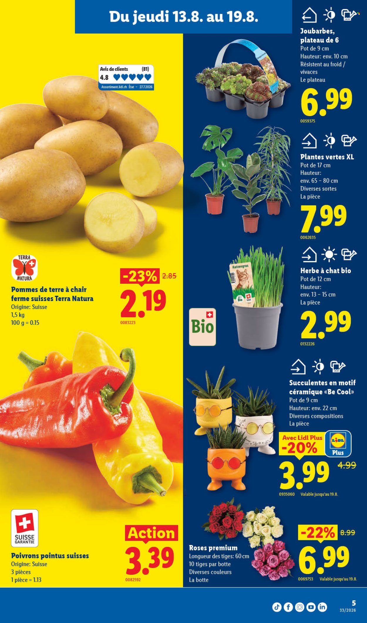 Volantino Lidl - 13.8.2026 - 19.8.2026. Pagina 9. Pagina 9