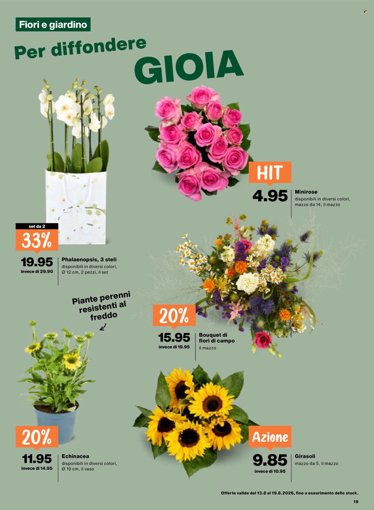 Volantino Migros - 13.8.2026 - 19.8.2026. Pagina 19. Pagina 19