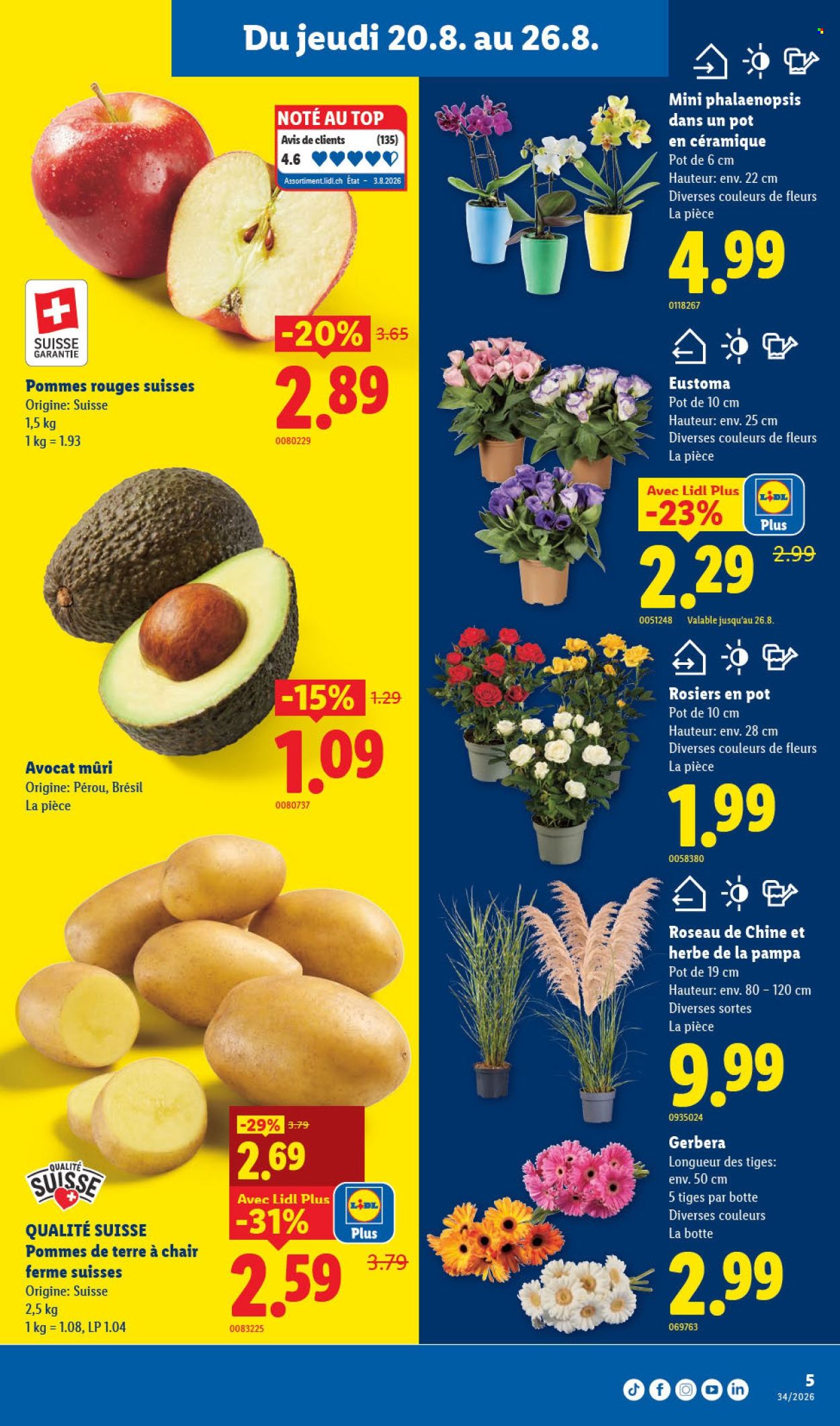 Volantino Lidl - 20.8.2026 - 26.8.2026. Pagina 9. Pagina 9