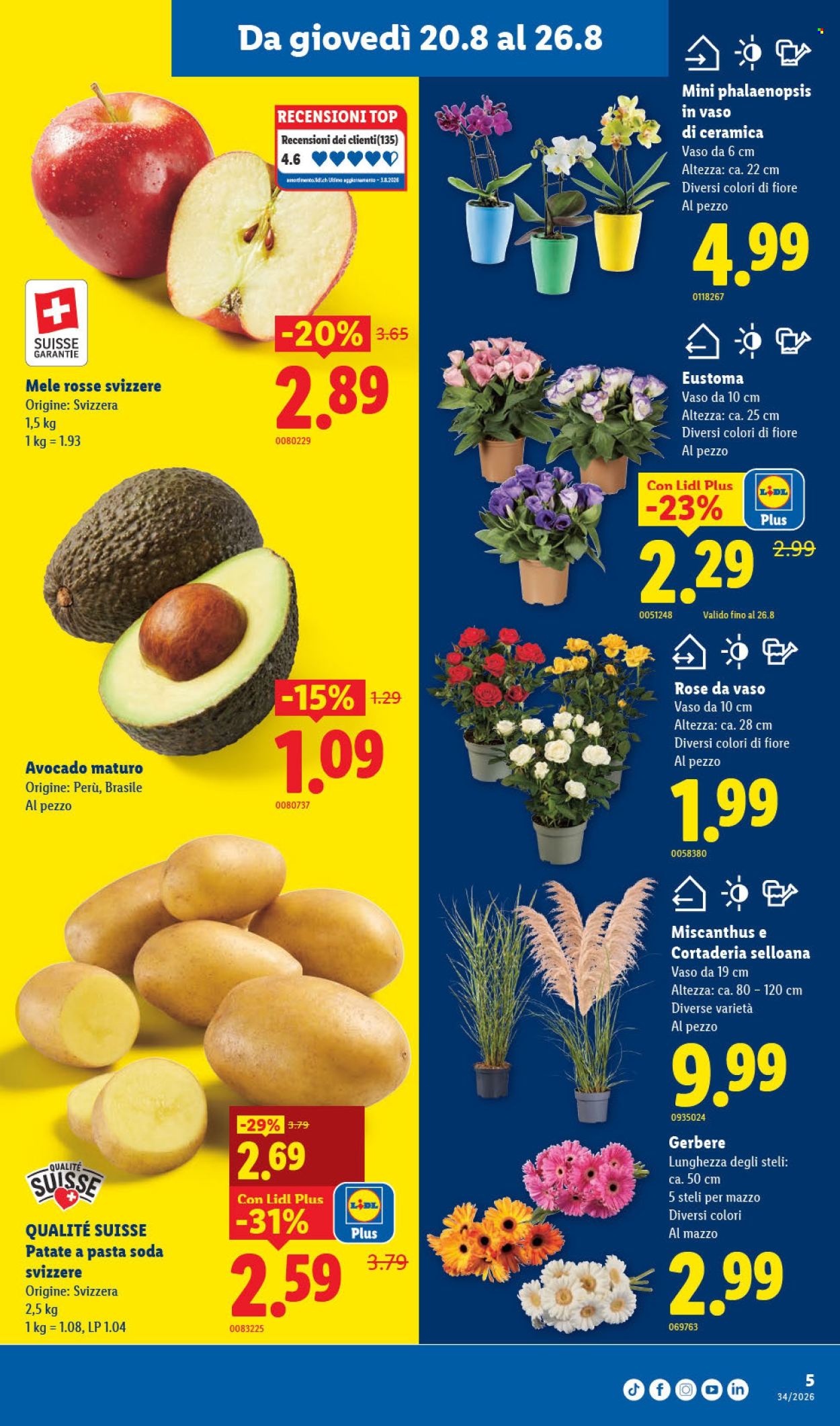 Volantino Lidl - 20.8.2026 - 26.8.2026. Pagina 9. Pagina 9