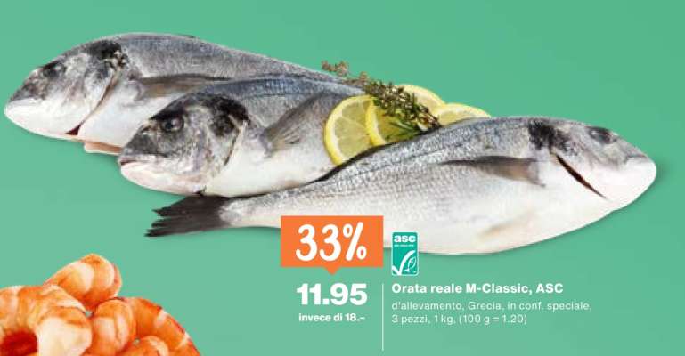 Orata reale M-Classic, ASC
