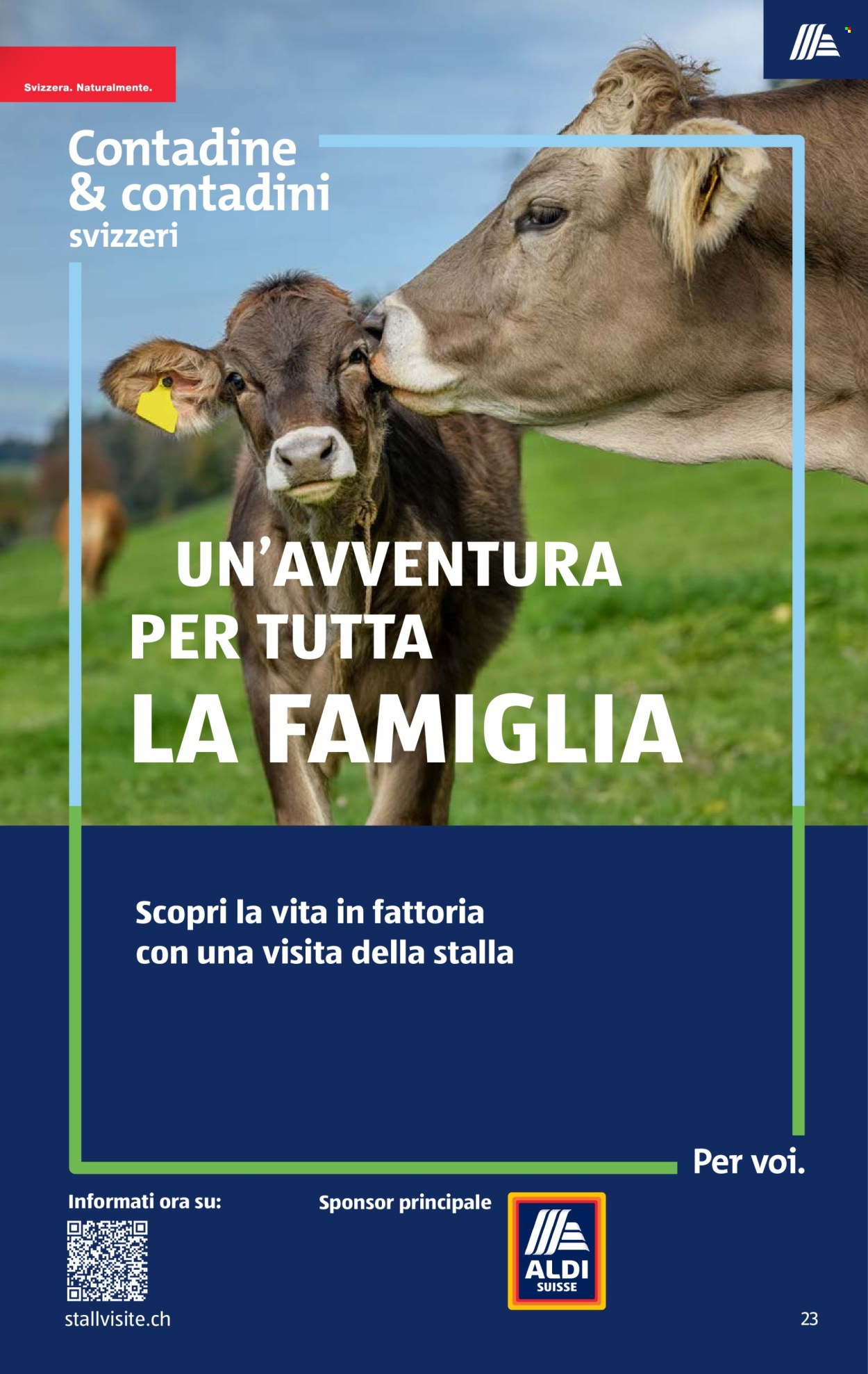 Volantino Aldi - 3.9.2026 - 9.9.2026. Pagina 23. Pagina 23