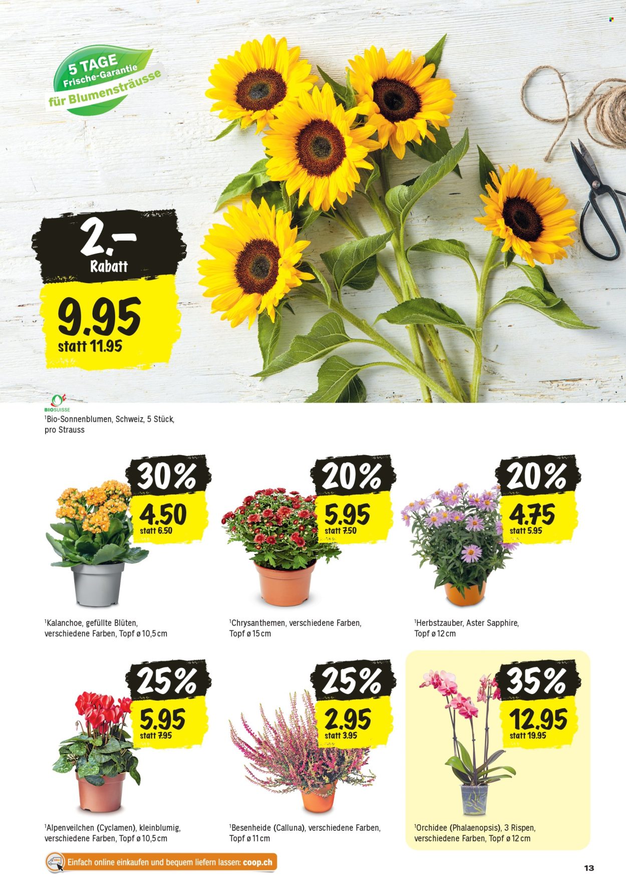 Volantino Coop - 27.8.2026 - 2.9.2026. Pagina 13. Pagina 13
