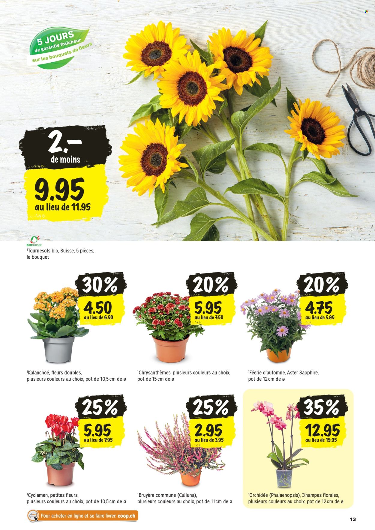 Volantino Coop - 27.8.2026 - 2.9.2026. Pagina 13. Pagina 13