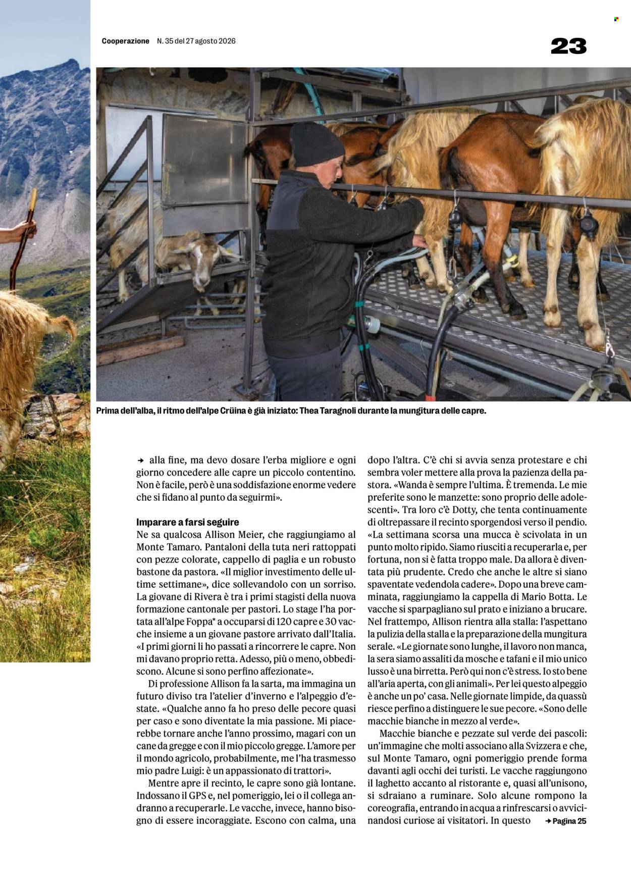 Volantino Coop - 27.8.2026 - 2.9.2026. Pagina 23. Pagina 23