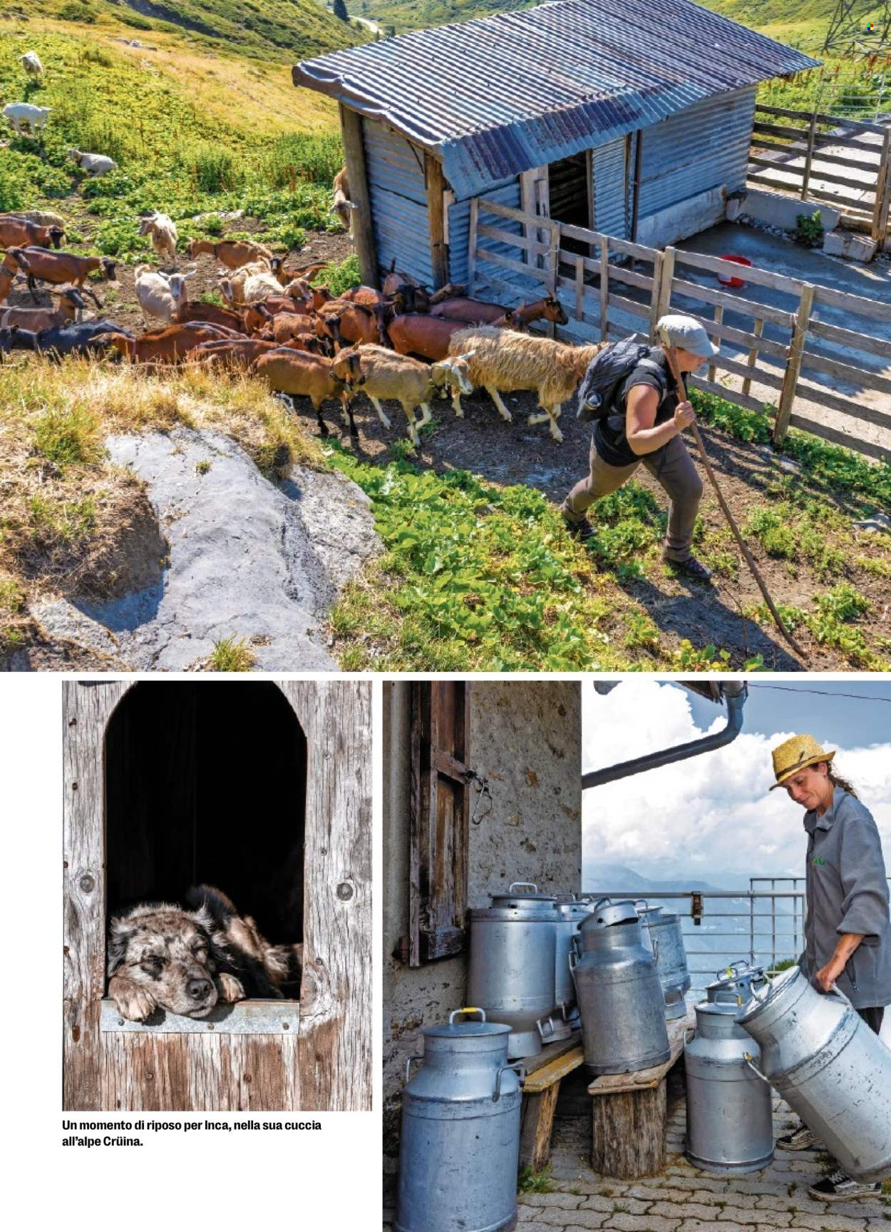 Volantino Coop - 27.8.2026 - 2.9.2026. Pagina 24. Pagina 24