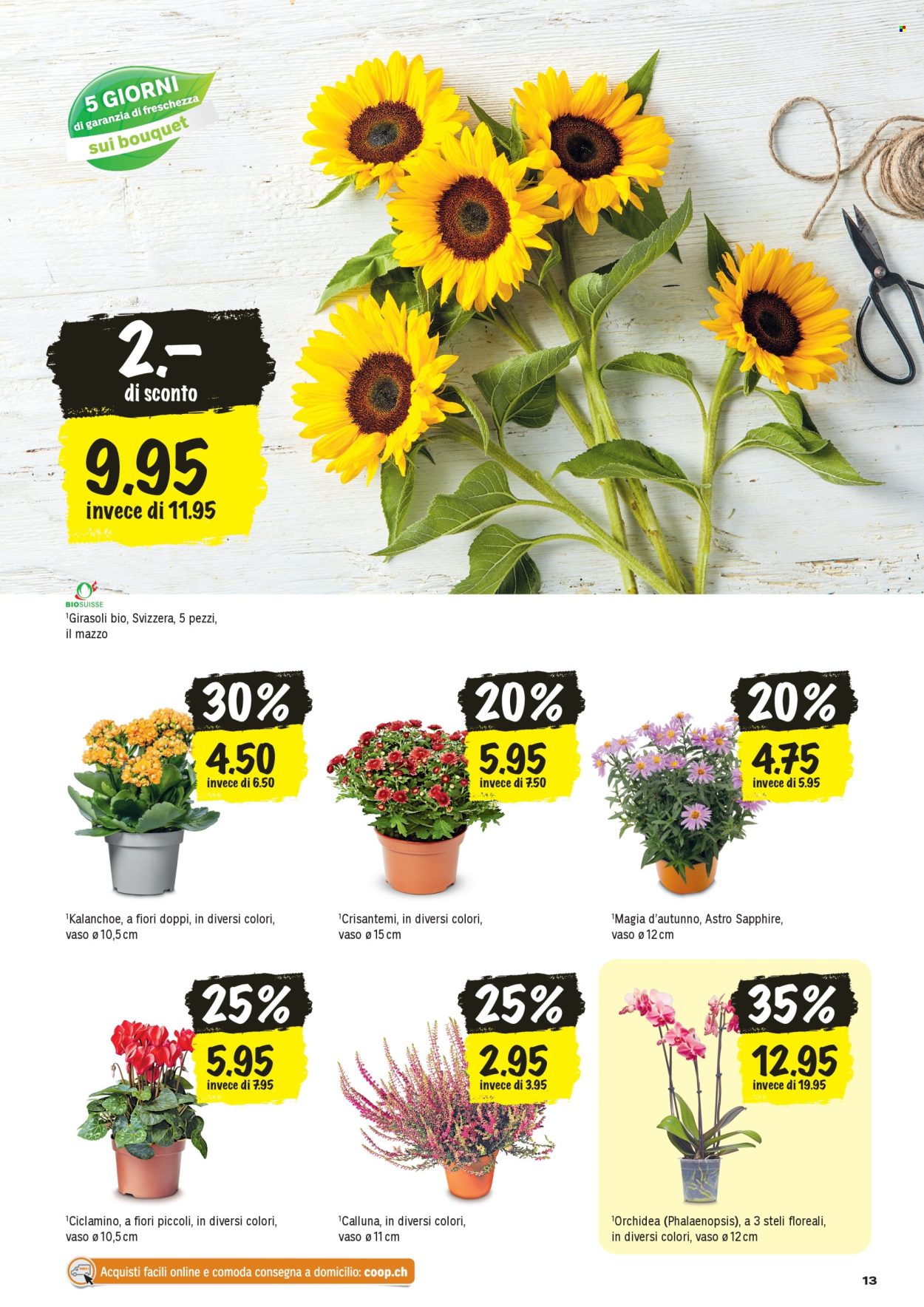 Volantino Coop - 27.8.2026 - 2.9.2026. Pagina 13. Pagina 13