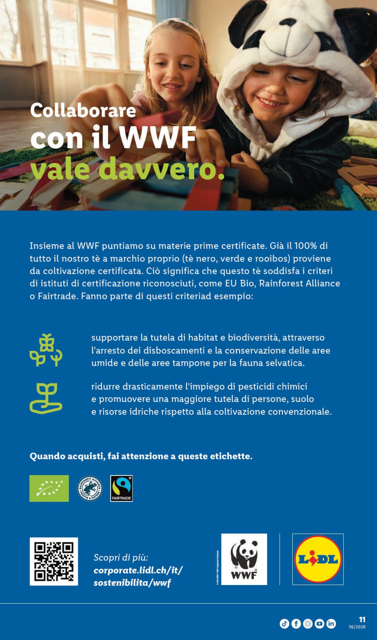 Volantino Lidl - 3.9.2026 - 9.9.2026. Pagina 39. Pagina 39