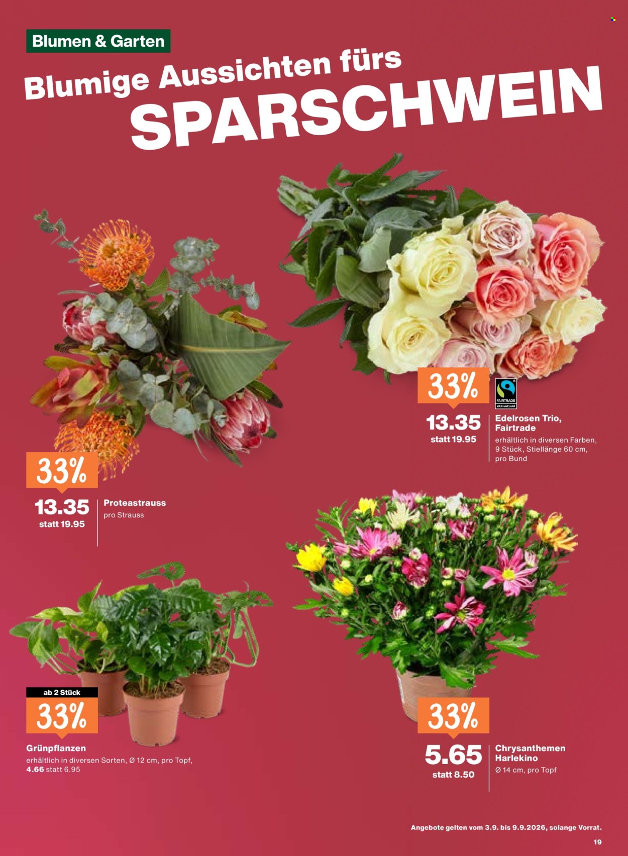 Volantino Migros - 3.9.2026 - 9.9.2026. Pagina 19. Pagina 19