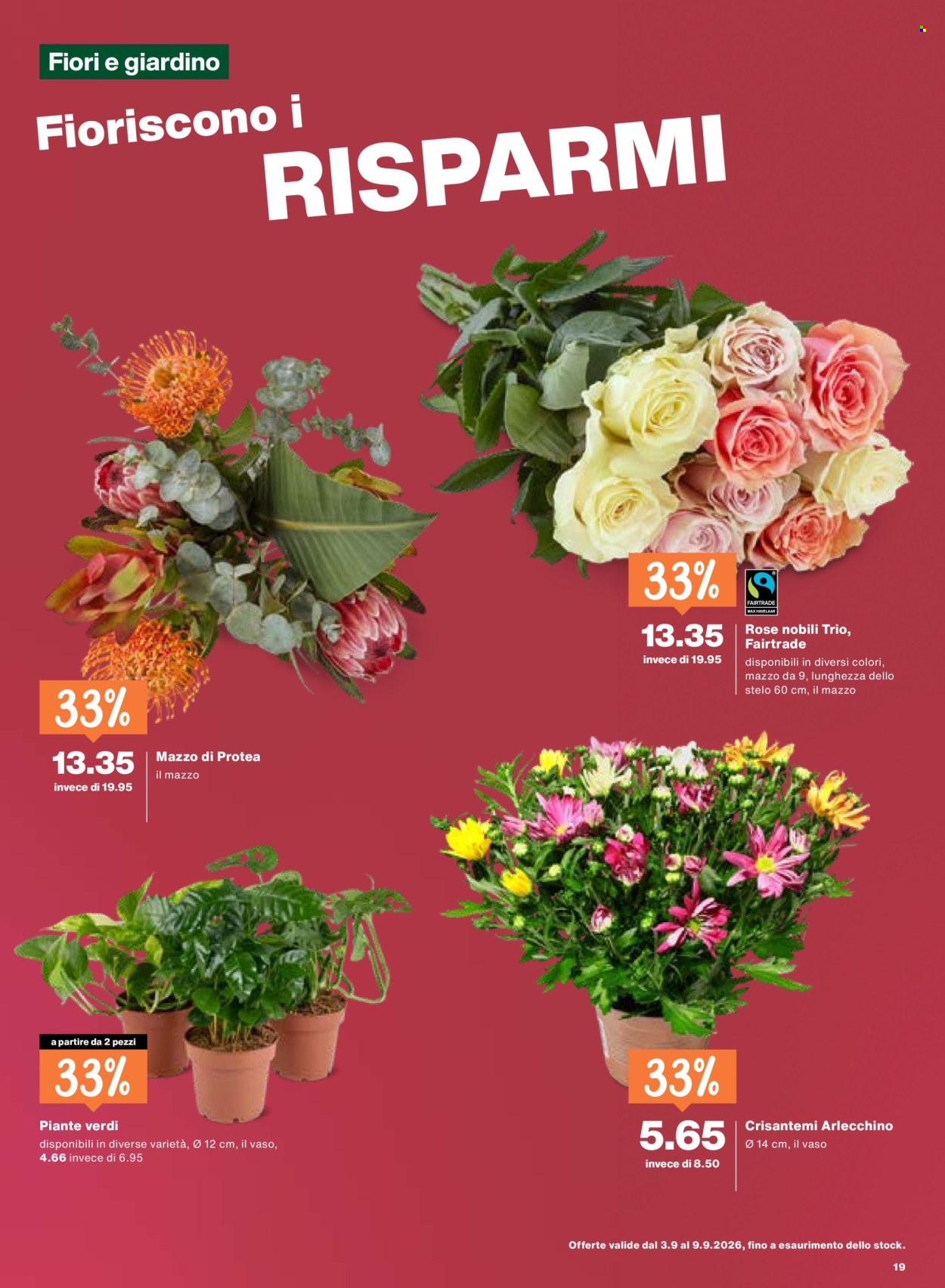 Volantino Migros - 3.9.2026 - 9.9.2026. Pagina 19. Pagina 19