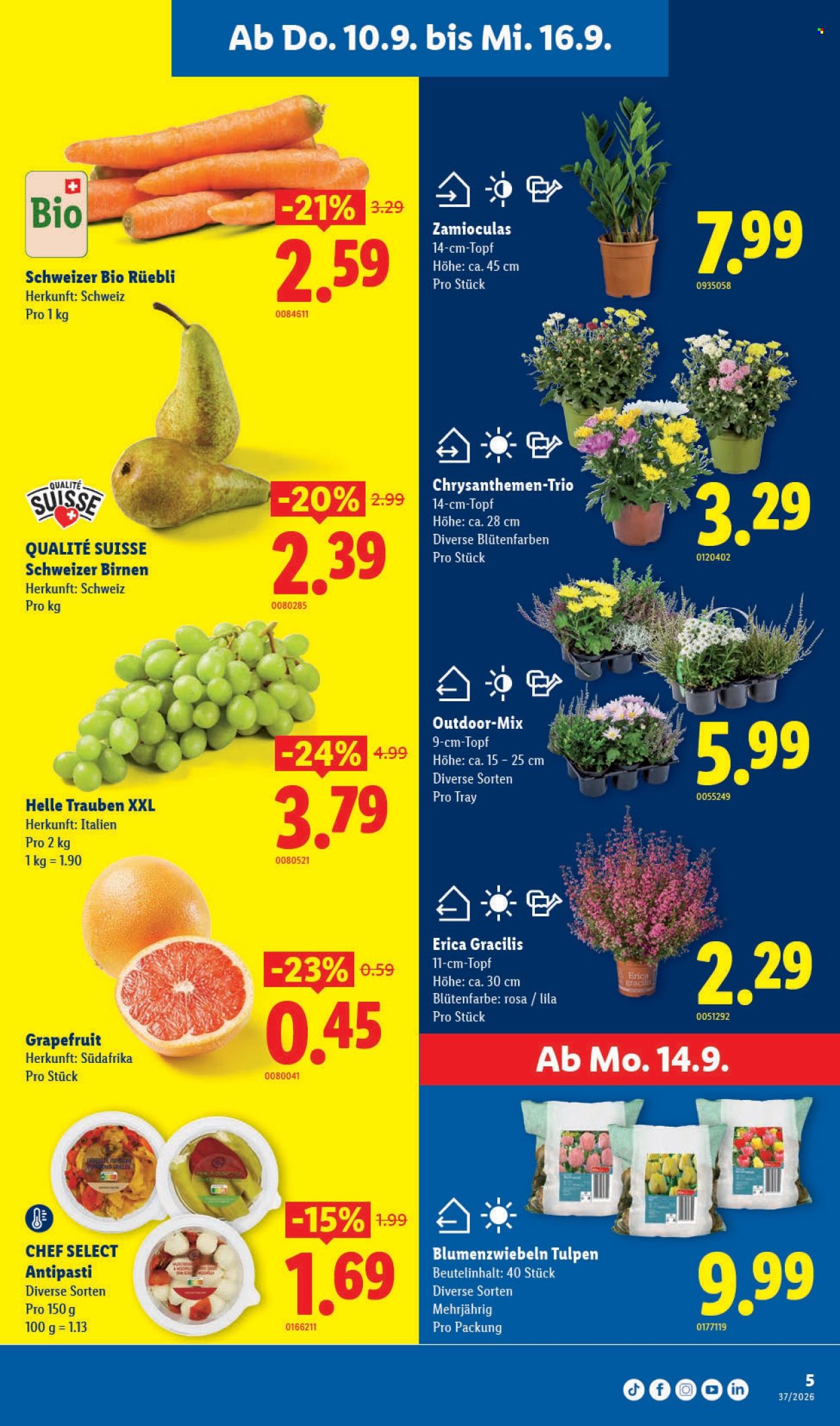 Volantino Lidl - 10.9.2026 - 16.9.2026. Pagina 5. Pagina 5