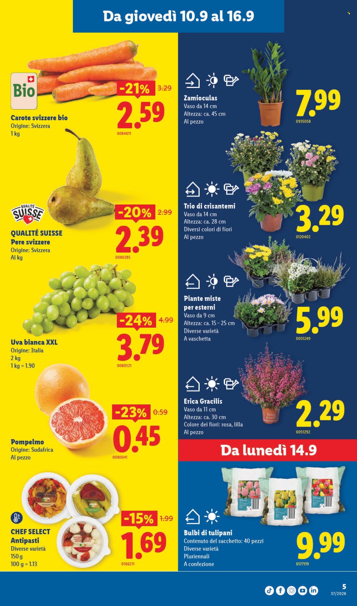 Volantino Lidl - 10.9.2026 - 16.9.2026. Pagina 5. Pagina 5