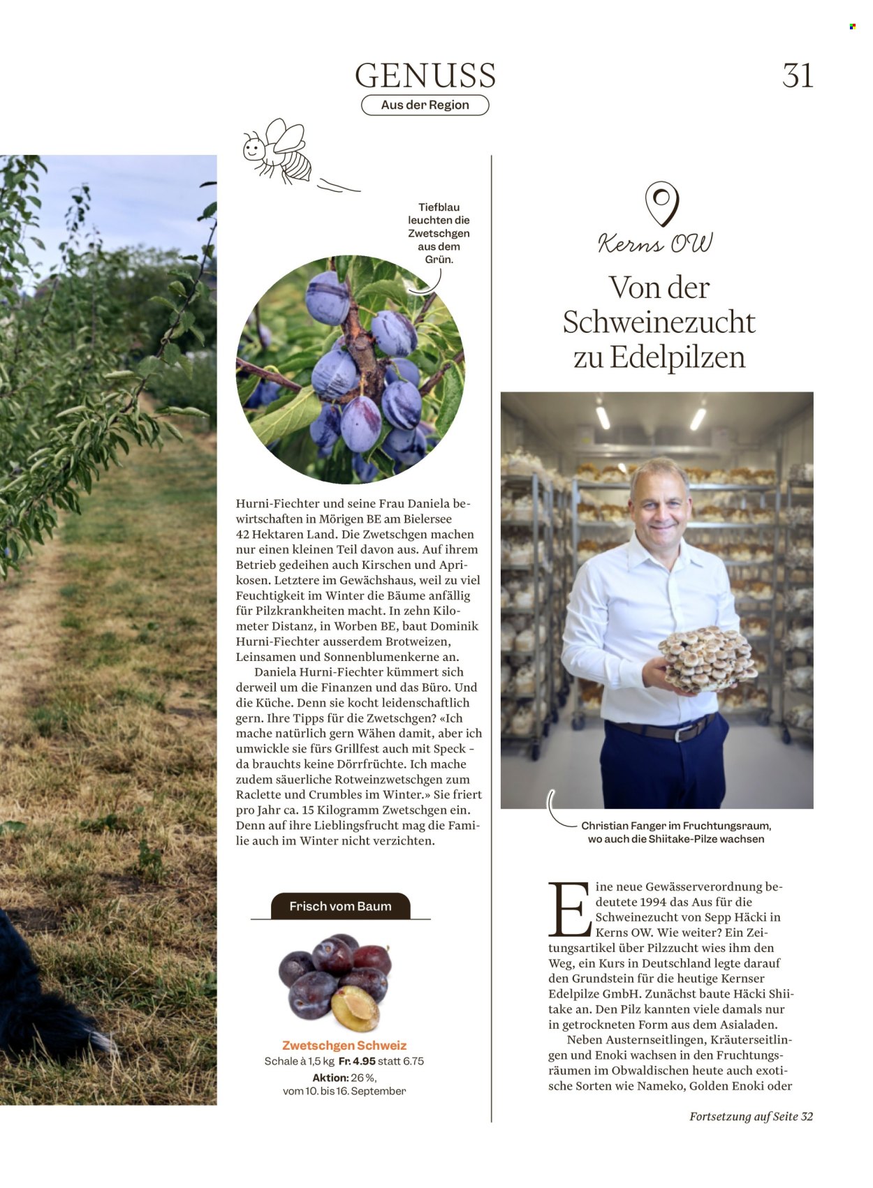 Volantino Migros - 9.9.2026 - 16.9.2026. Pagina 31. Pagina 31