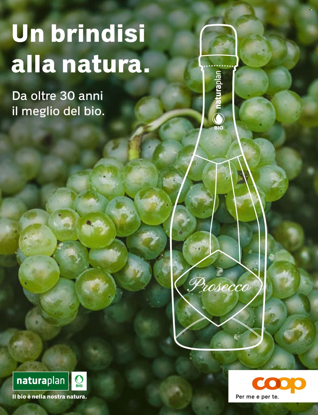 Volantino Coop. Pagina 53. Pagina 53