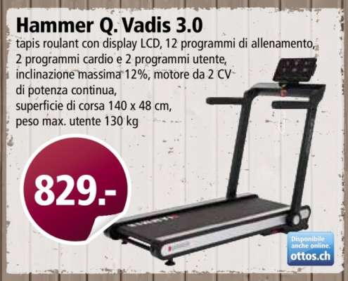 Hammer Q. Vadis 3.0