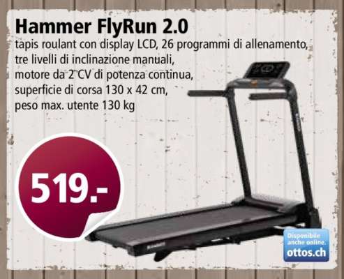 Hammer FlyRun 2.0