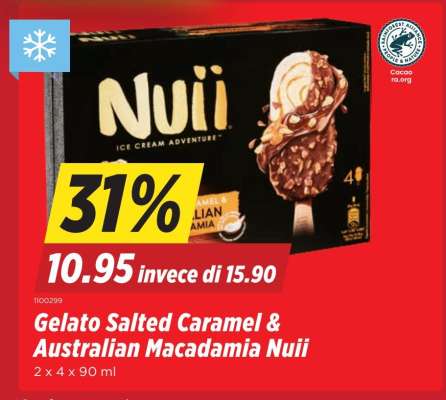 Gelato Salted Caramel & Australian Macadamia Nuii