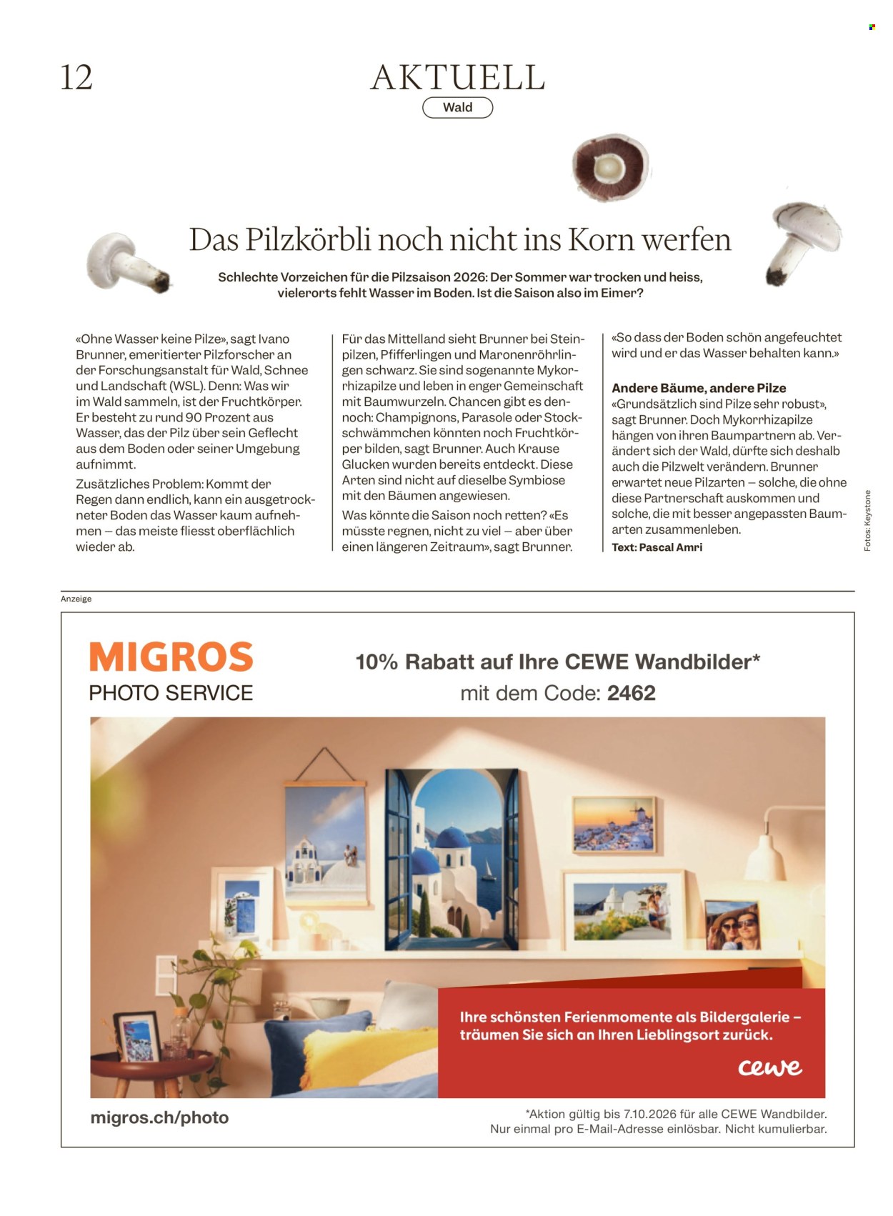 Volantino Migros - 16.9.2026 - 23.9.2026. Pagina 12. Pagina 12