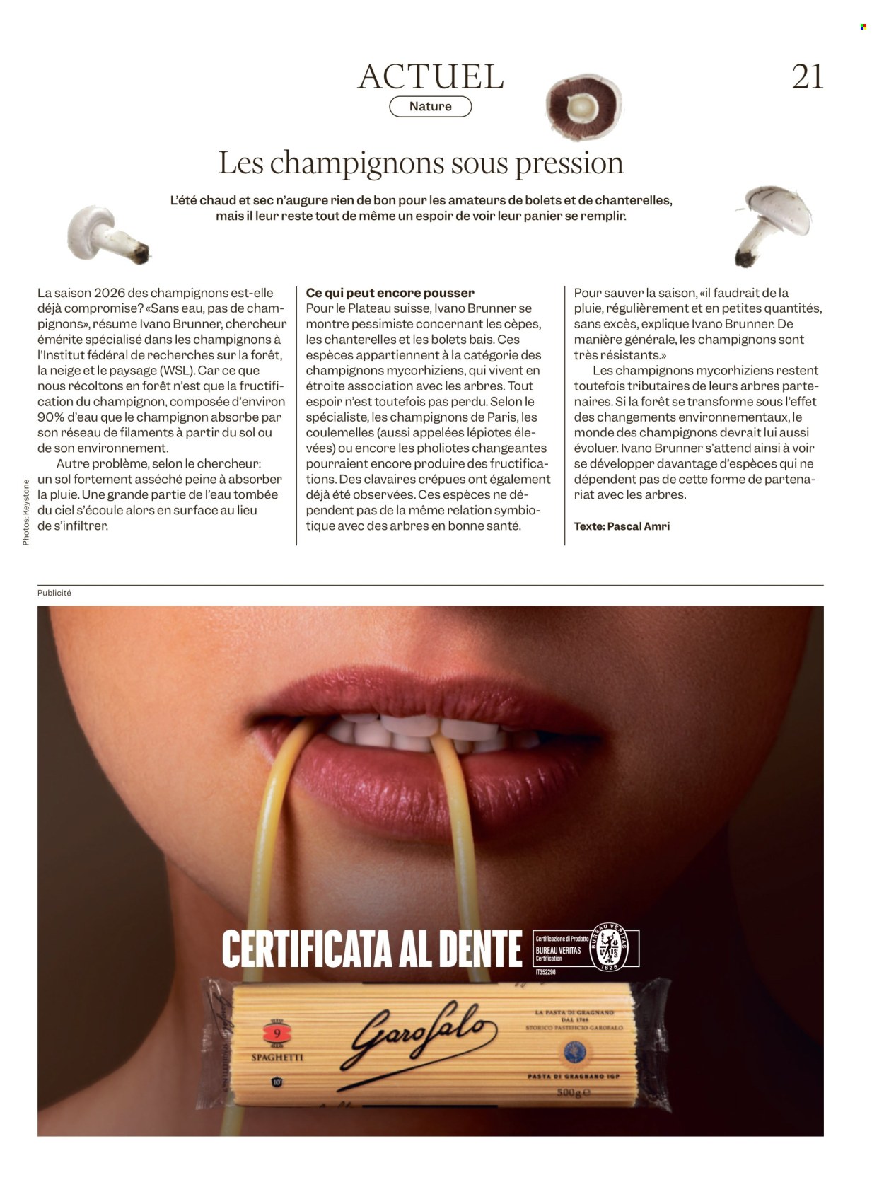 Volantino Migros - 16.9.2026 - 23.9.2026. Pagina 21. Pagina 21