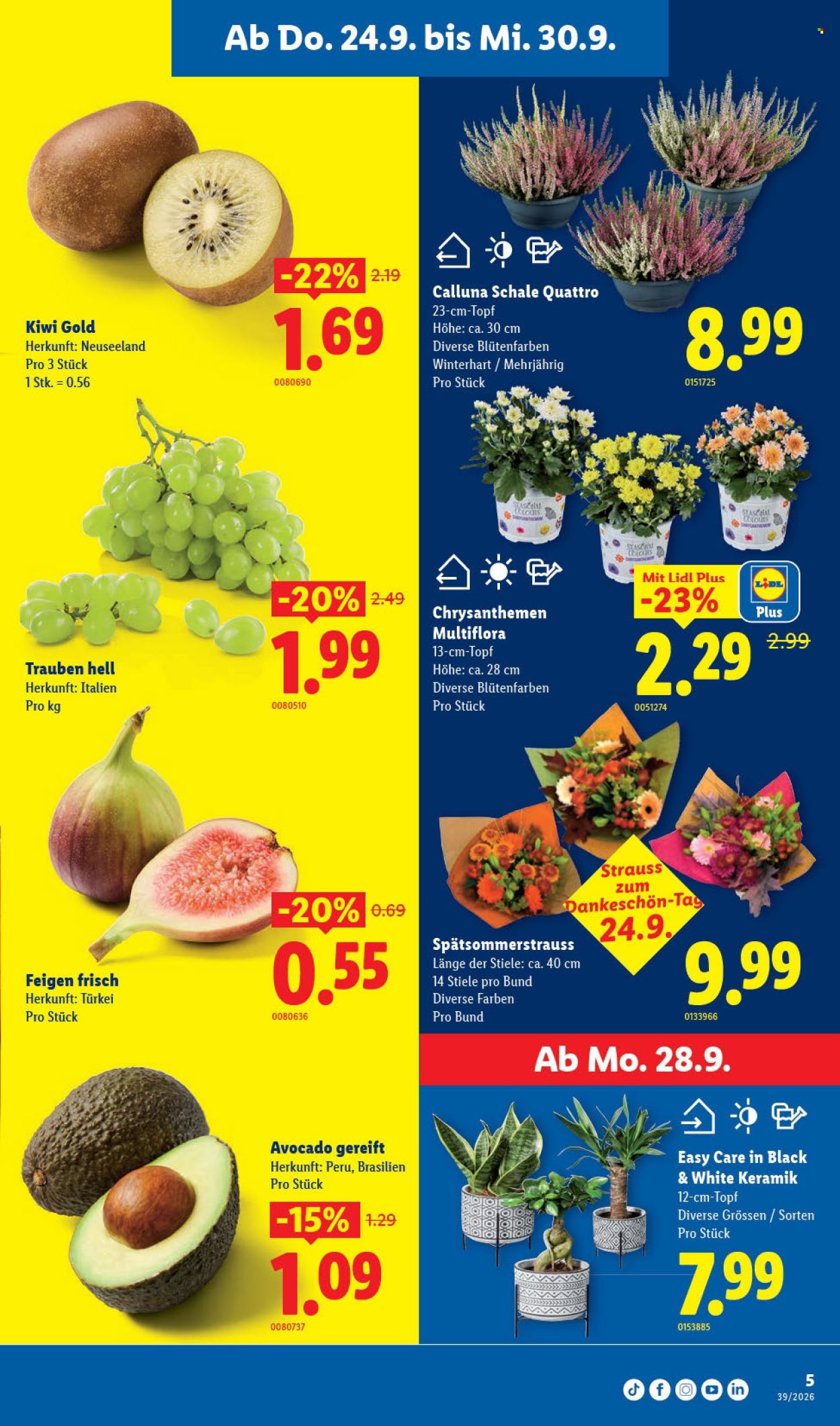 Volantino Lidl - 24.9.2026 - 30.9.2026. Pagina 5. Pagina 5