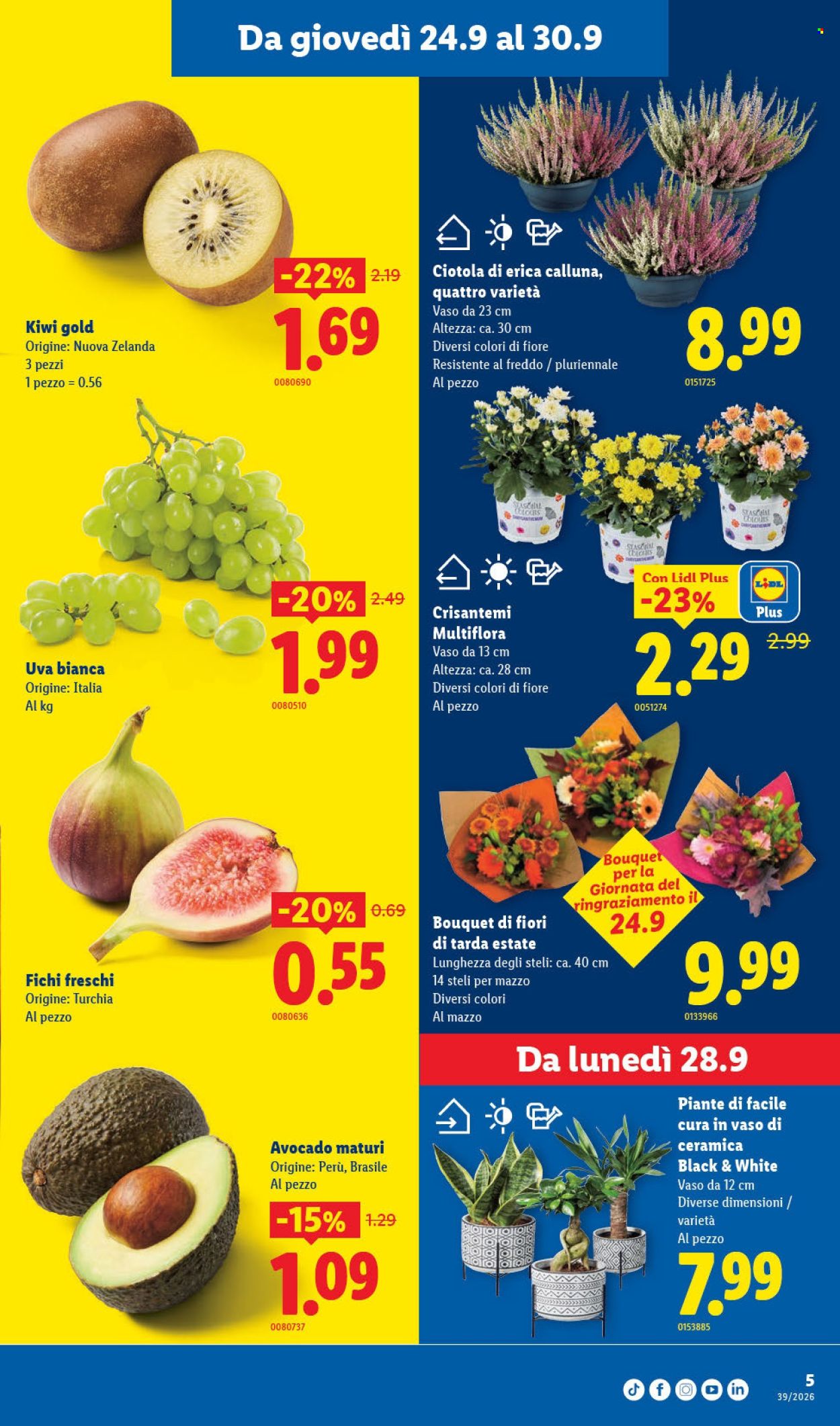 Volantino Lidl - 24.9.2026 - 30.9.2026. Pagina 5. Pagina 5
