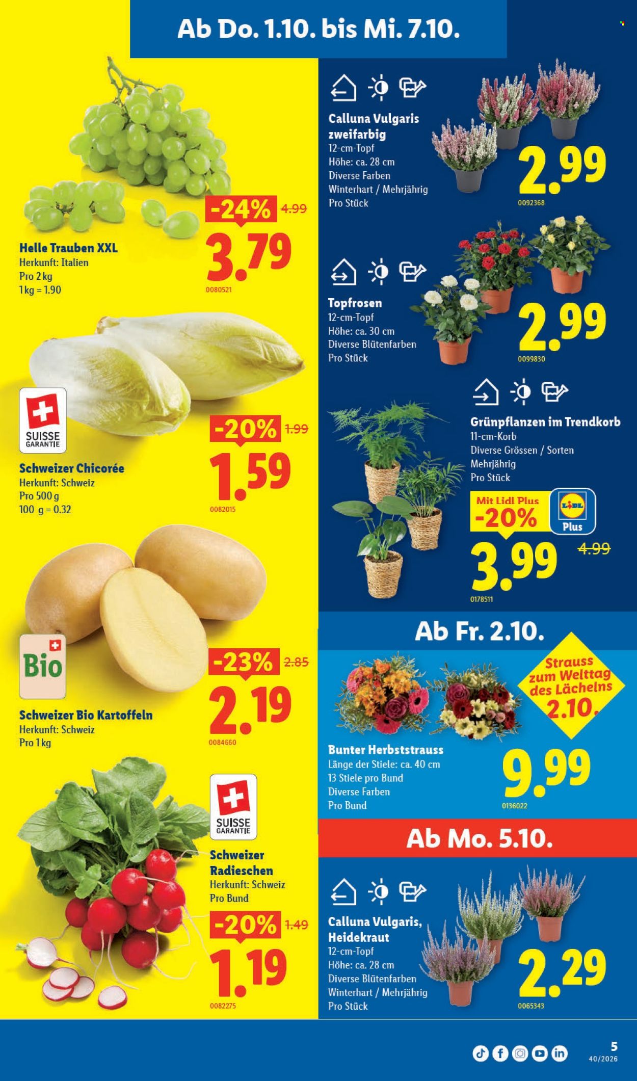 Volantino Lidl - 1.10.2026 - 7.10.2026. Pagina 5. Pagina 5