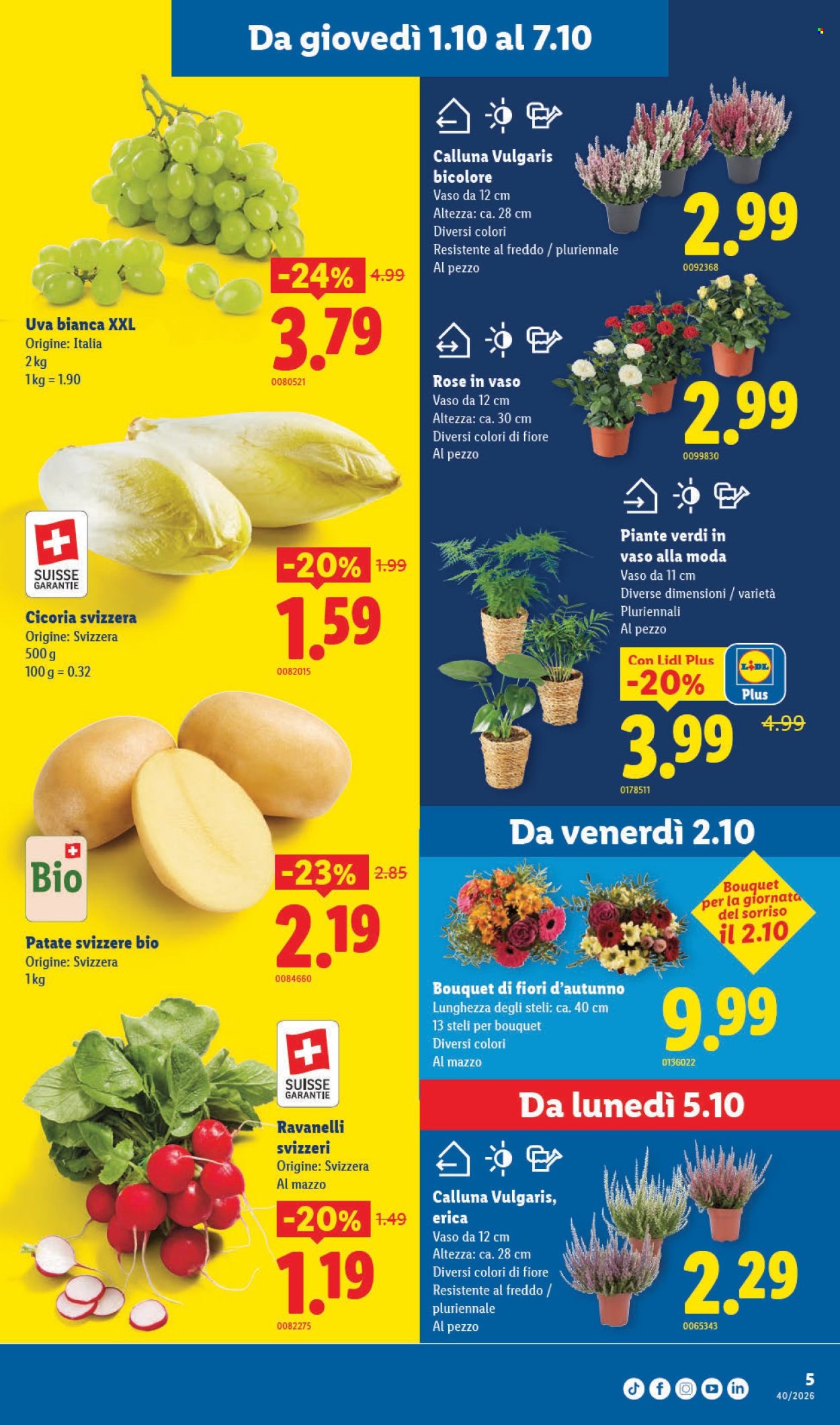 Volantino Lidl - 1.10.2026 - 7.10.2026. Pagina 5. Pagina 5